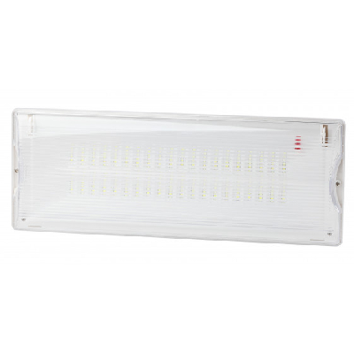 Светильник аварийный DPA-301-1-65 постоянный 40LED 3ч IP65 NiCD