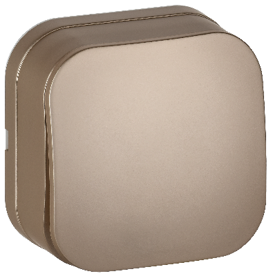 GLORY Выключатель 1-клавишный для открытой установки 10А ВС20-1-0-ХШм шампань матовый IEK