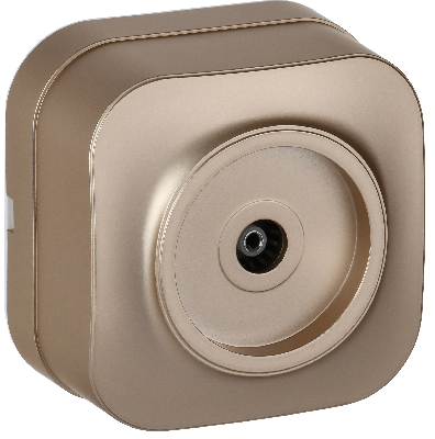 GLORY Розетка для открытой установки TV РТВ20-ХШм шампань матовый IEK